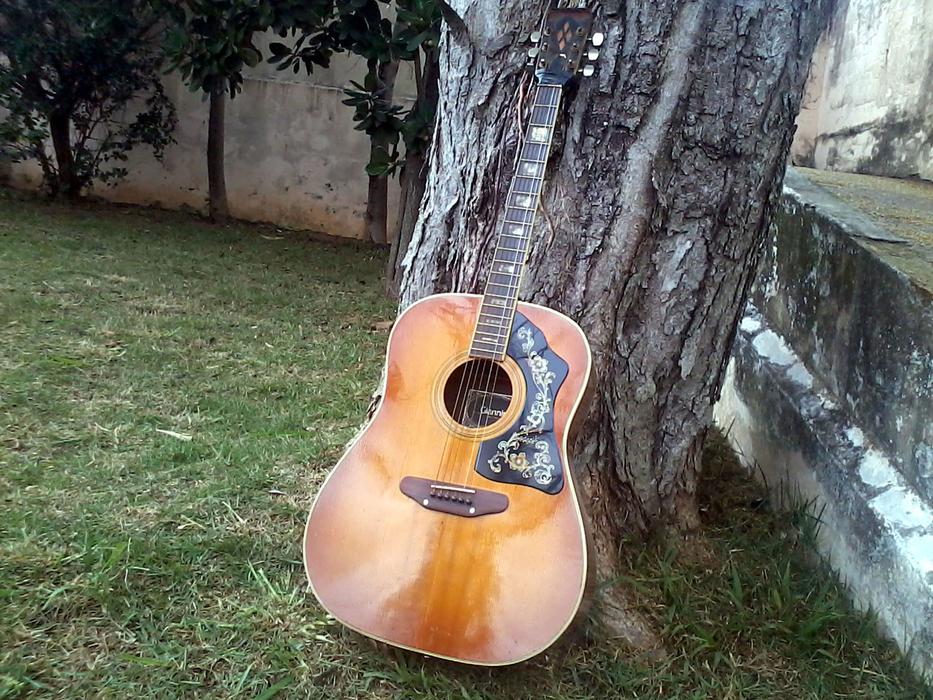 vintage acoustic Guitar beneath tree