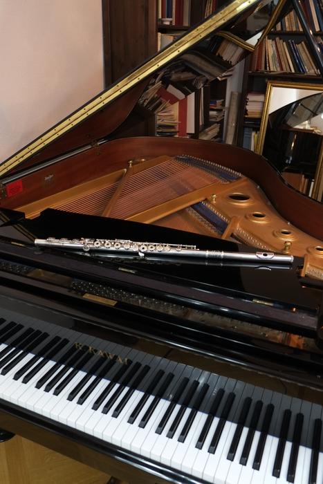 Piano Music and Flute