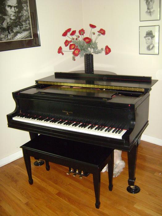 bouquet of red flowers on a black piano