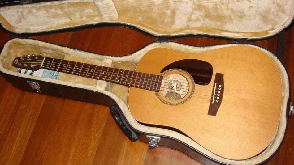 Wooden guitar in the wooden case