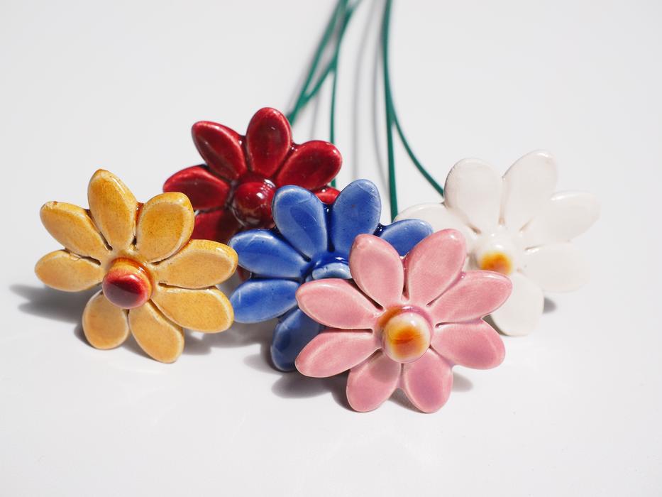 multicolored ceramic daisies