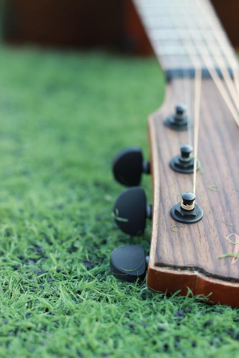 head of Guitar on Green grass