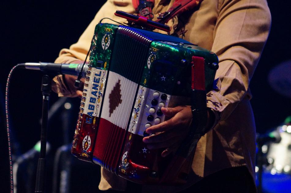 Instrument Accordion person