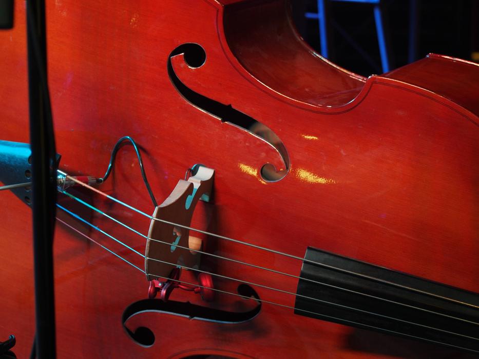 body of Bass, Classical Pickup instrument
