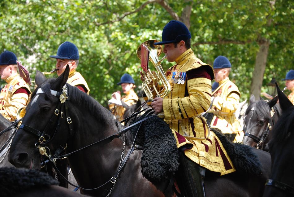Musician and Horse