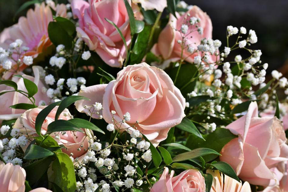 gorgeous Bouquet Of Roses
