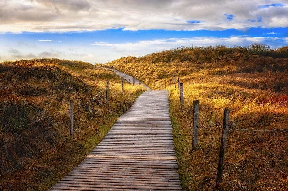 long wooden path along the dunes on the coast