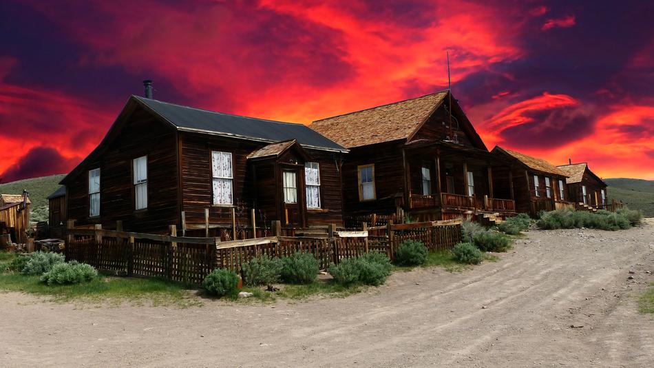 Houses among the plants at beautiful and colorful sunset background