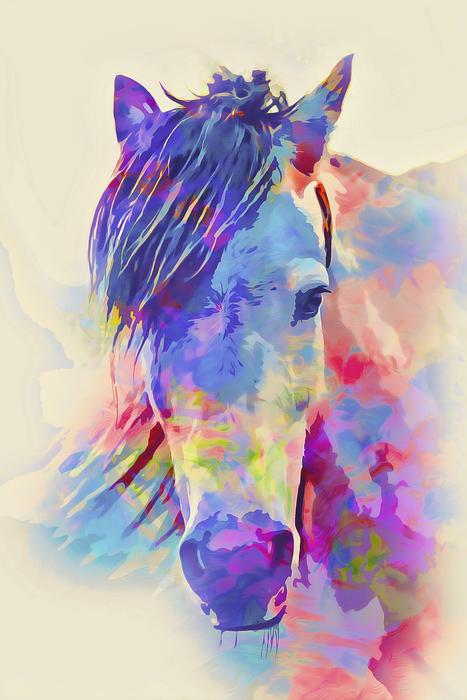painted multi-colored horse head