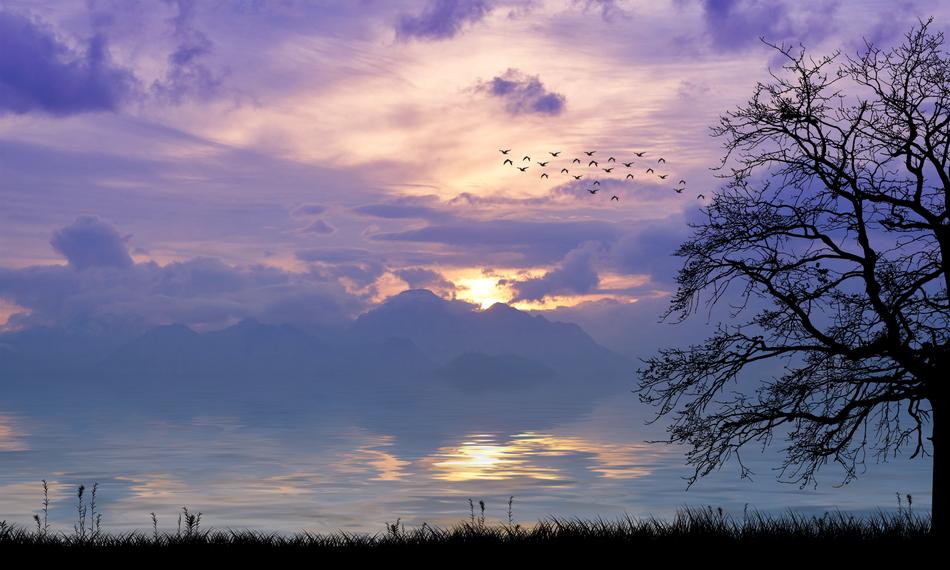romantic purple sky after sunset