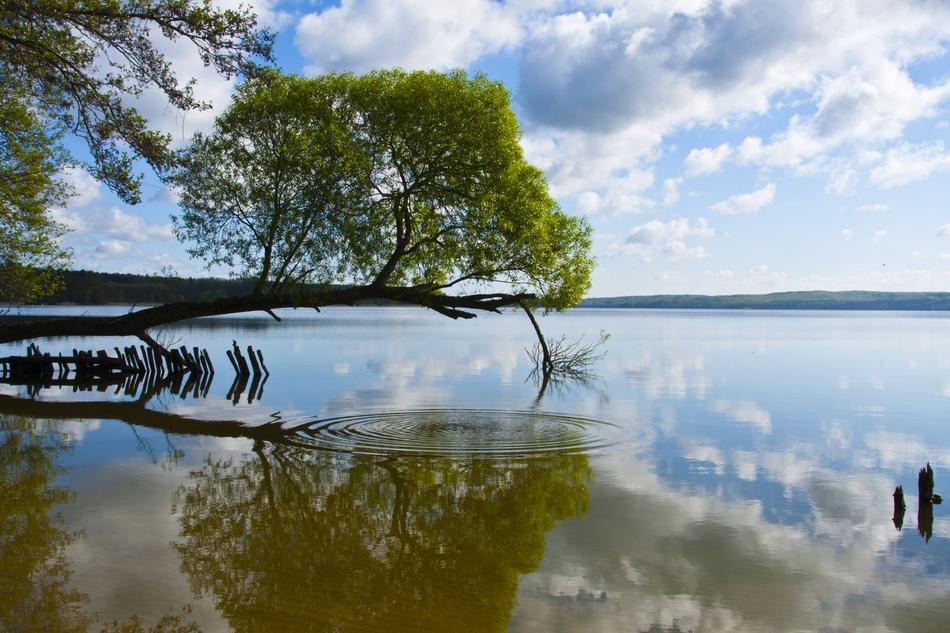lake tollensesee in Germany
