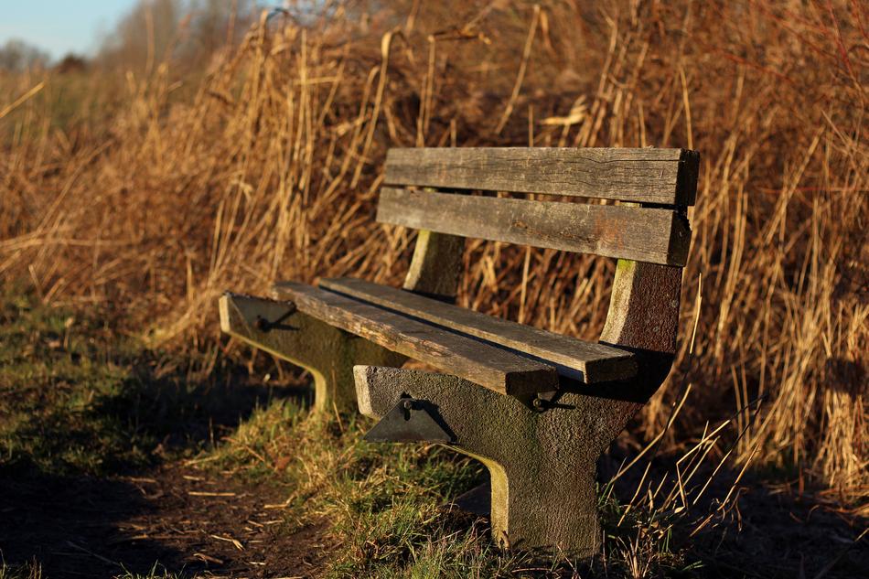 Bench Seat wood