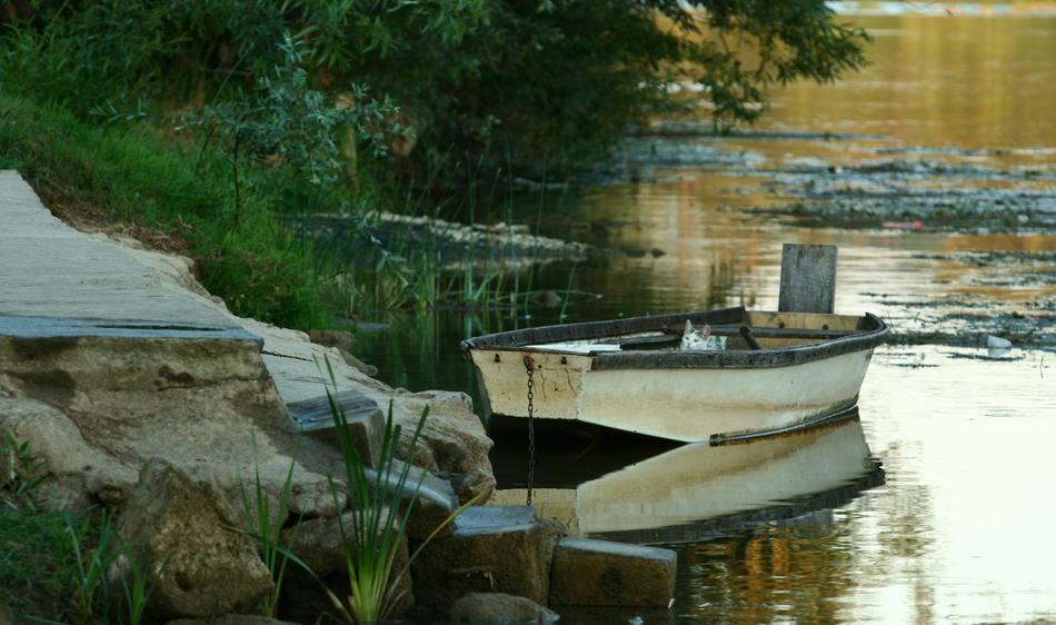 Boat on the beautiful river, near the shore in Jostajnica, Croatia