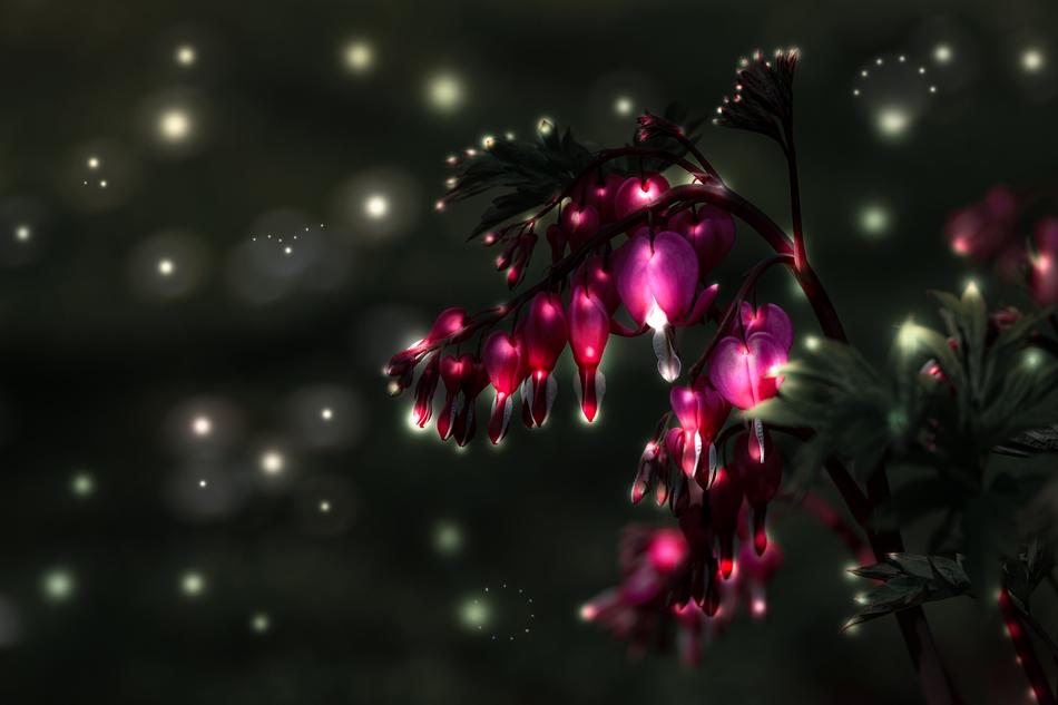 bright pink flower in the dark