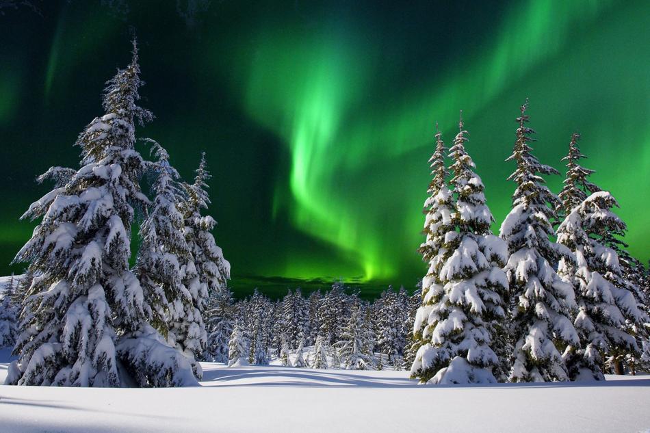 Snowy Aurore Boreale at Night