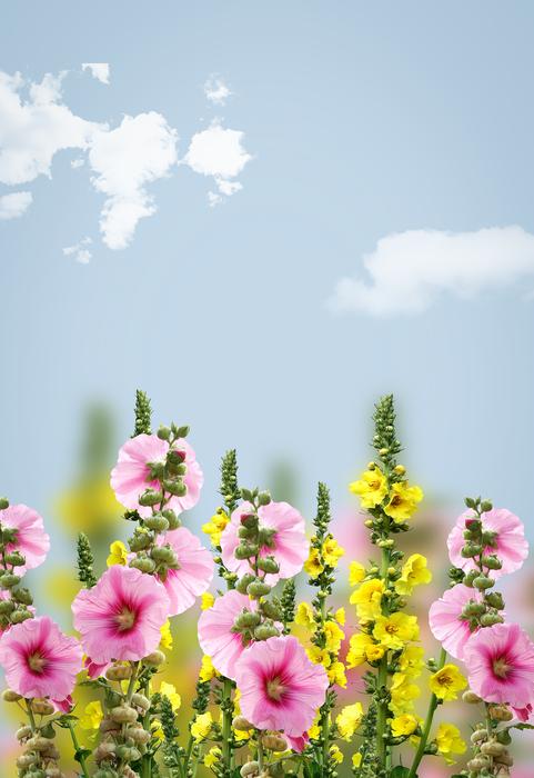 Spring Background drawing