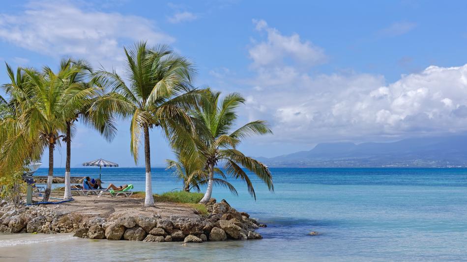 unusually beautiful Beach with the palms and water around
