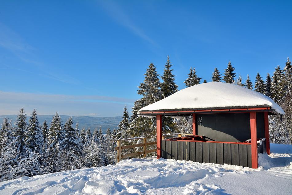 Beautiful hut in snow, on the beautiful snowy mountain with the green trees, at blue sky on background