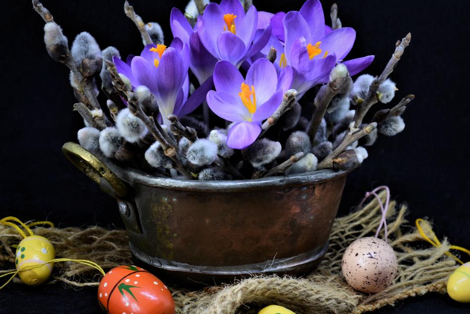 Crocus Palm Branches