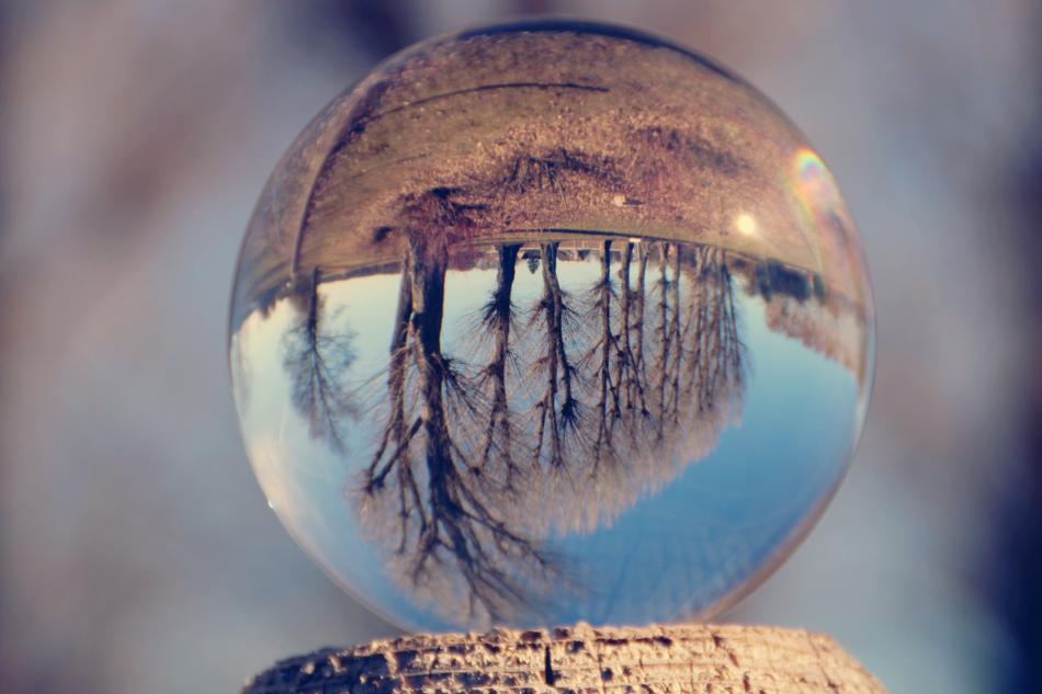 Glass Ball Trees