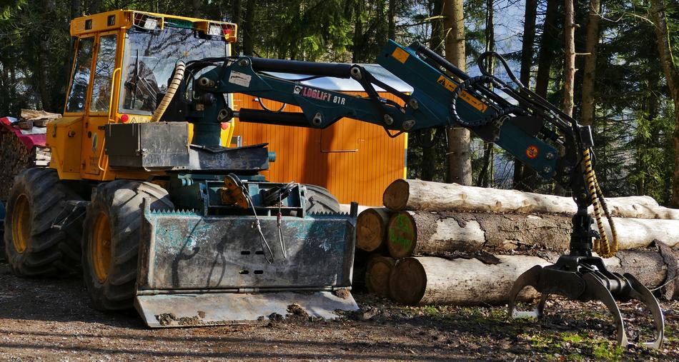 harvester at work in forest