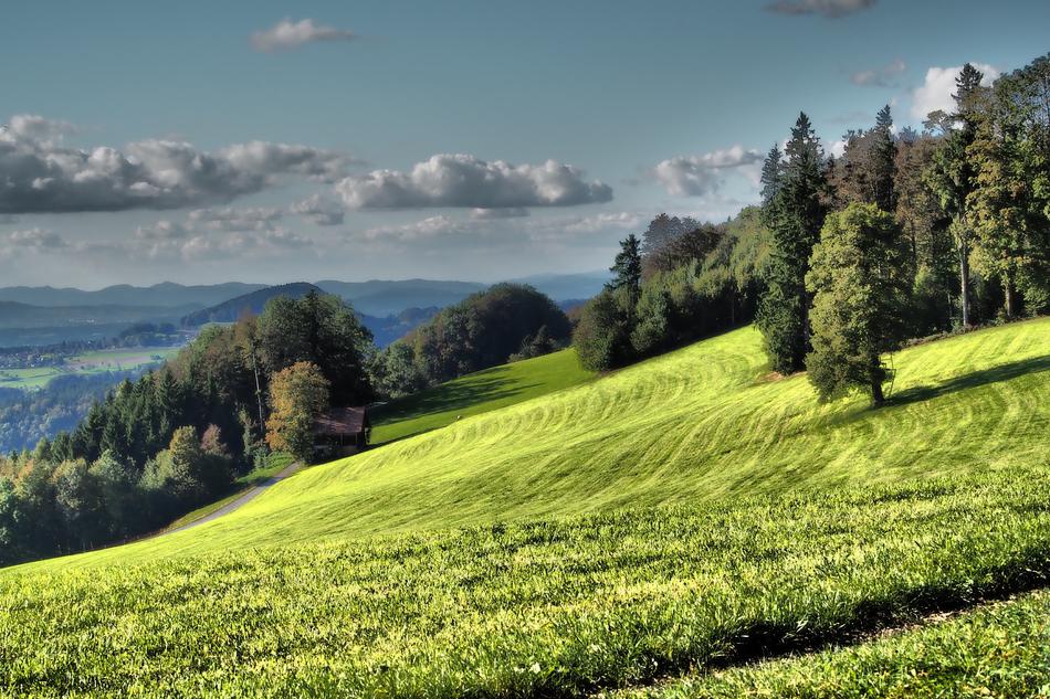 landscape of attractive Green Meadow on Alp