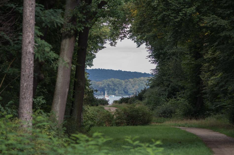 Beautiful view on the lake, through the window of green plants