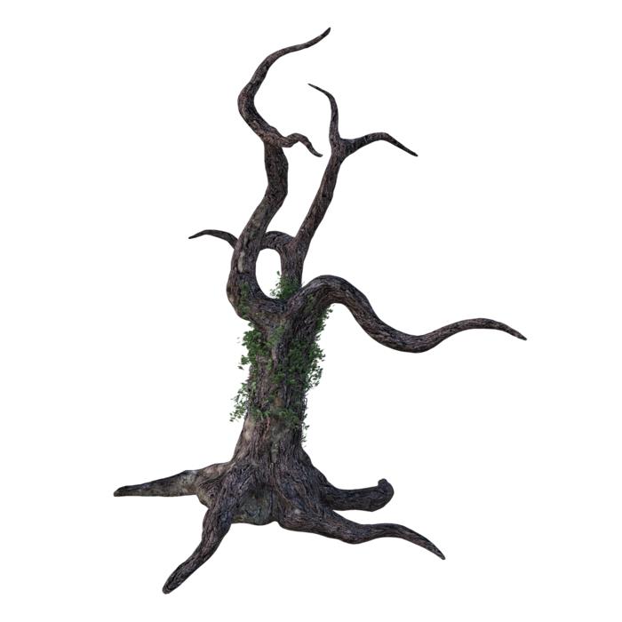 dead tree overgrown with ivy drawing
