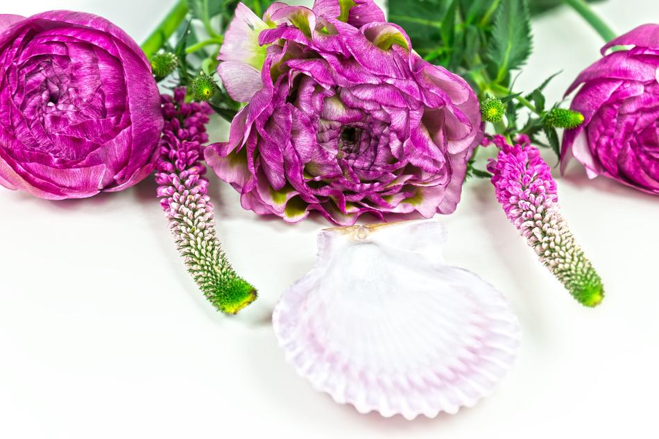 decoration with purple peonies and a white shell
