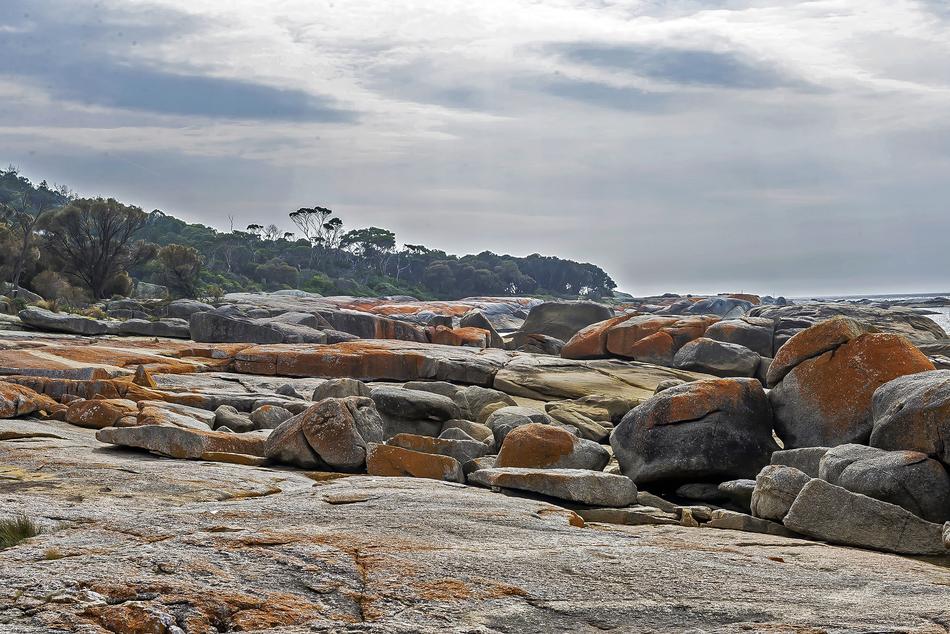 unusually beautiful Tasmania Nature