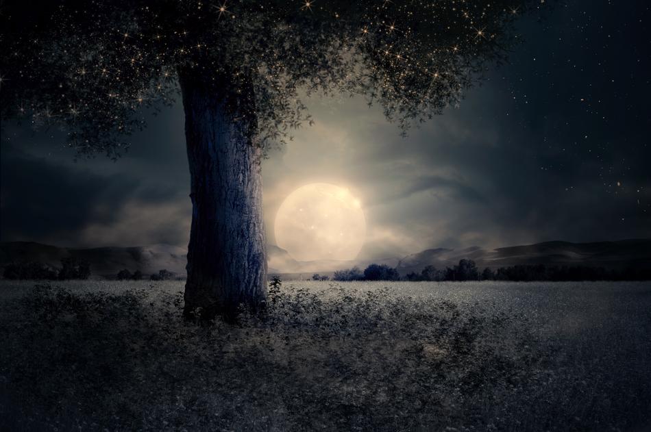 lonely tree on meadow and full mun rising at night sky