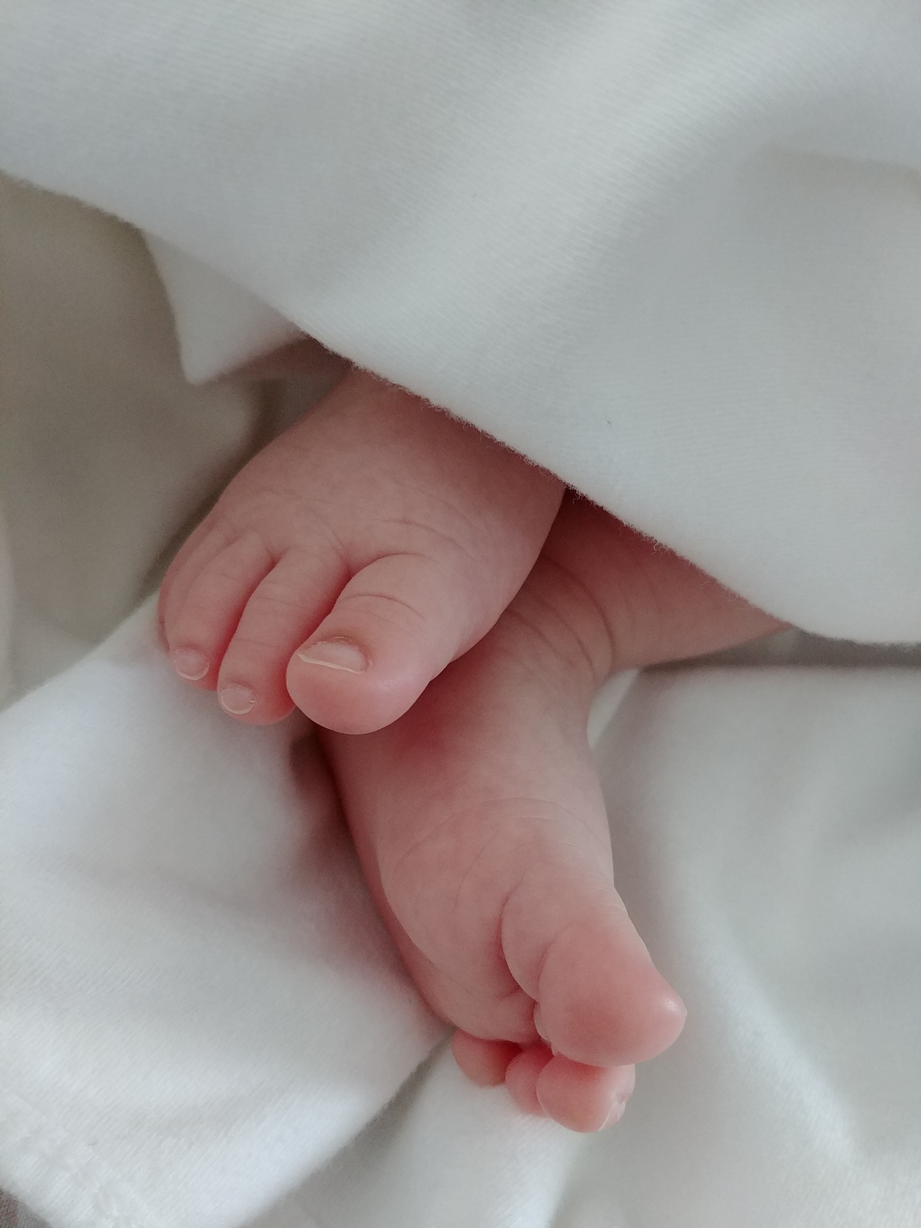 Baby Foot Cute Free Image Download