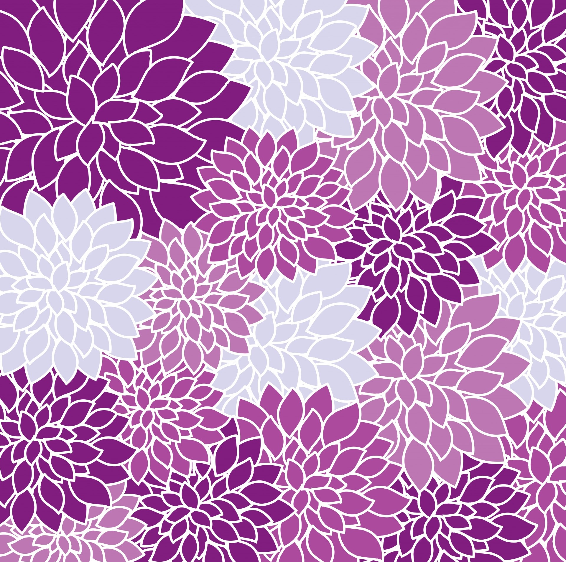 Floral Wallpaper With Purple Violet And White Dahlia Flowers Drawing Free Image Download
