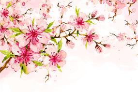 blooming branches with pink flowers, artwork