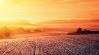 orange Snow Field