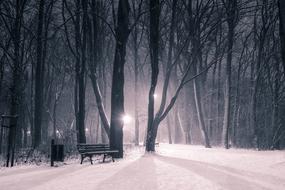 beautiful Winter Park in Snow