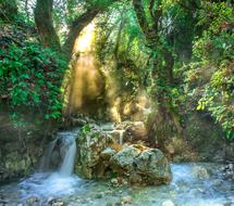 water stream in green jungle on colorful picture