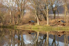 Lakeside Water Surface