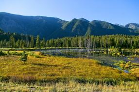 Madison River Scenery