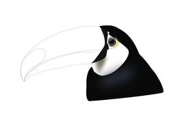 toucan bird tropical as a drawing