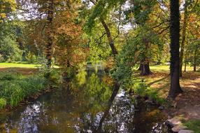 colorful trees are reflected in the water in the park