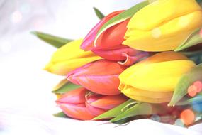 extraordinarily beautiful Tulips Bouquet