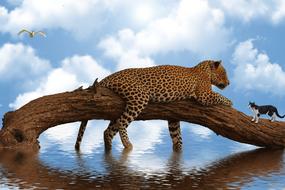 big leopard on a tree above the water as a fantasy