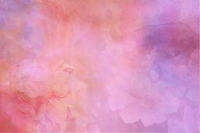 Background Texture Structure pink