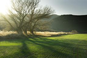 goodly Alcarria Basin