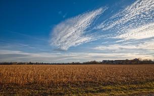 wonderful Clouds mood