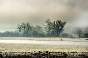 impressively beautiful Field Fog