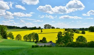 absolutely beautiful Oilseed Rape, bavaria