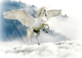 Unicorn Mythical Creatures Fairy drawing