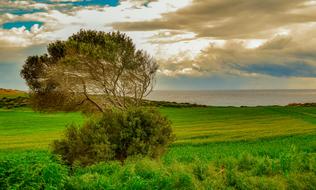 photo of a green meadow in rural Cyprus